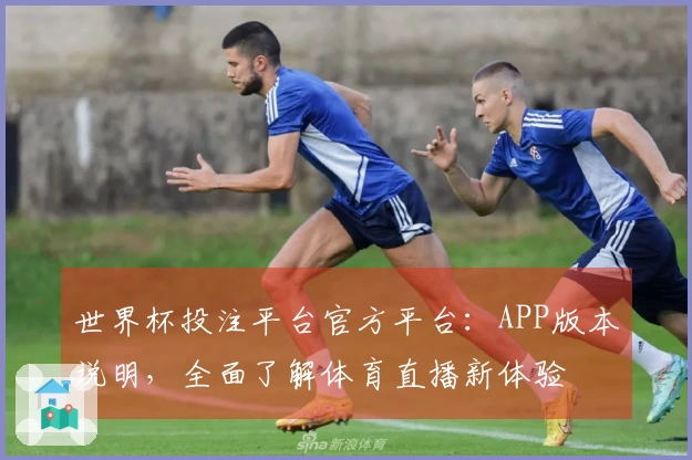 世界杯投注平台官方平台：APP版本说明，全面了解体育直播新体验