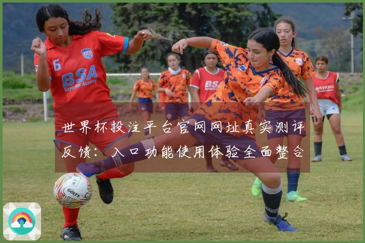 世界杯投注平台官网网址真实测评反馈：入口功能使用体验全面整合介绍