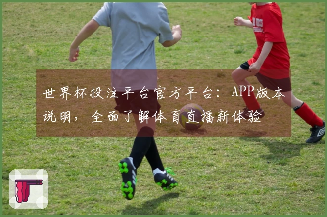 世界杯投注平台官方平台：APP版本说明，全面了解体育直播新体验