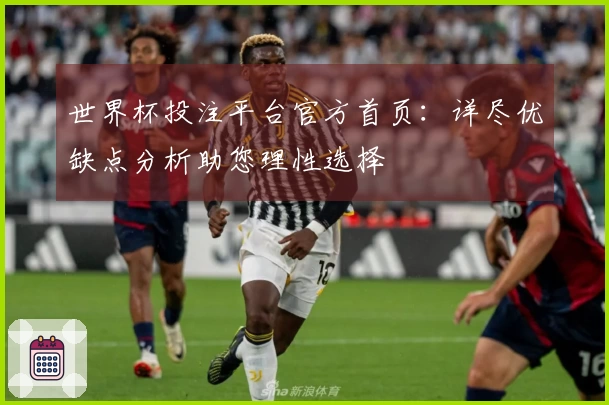 世界杯投注平台官方首页：详尽优缺点分析助您理性选择